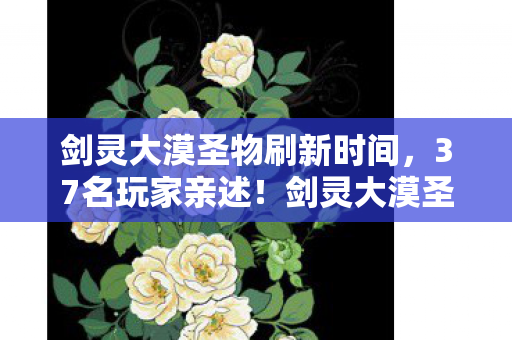 剑灵大漠圣物刷新时间，37名玩家亲述！剑灵大漠圣物疑云，那些在网吧绷不住的真相