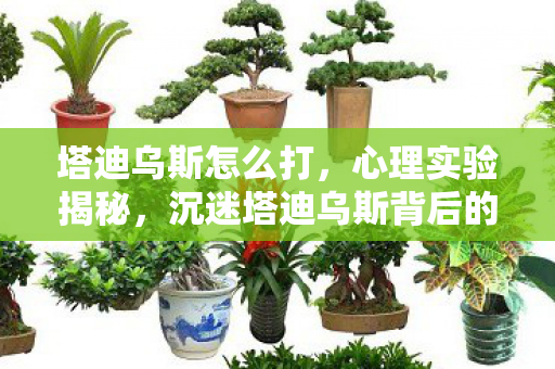 塔迪乌斯怎么打，心理实验揭秘，沉迷塔迪乌斯背后的多巴胺陷阱，细思极恐！