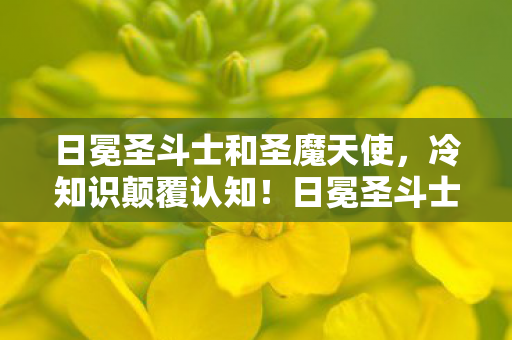 日冕圣斗士和圣魔天使,冷知识颠覆认知!日冕圣斗士隐藏设定竟让十年玩家目瞪口呆 日冕圣斗士和圣魔天使,冷知识颠覆认知!日冕圣斗士隐藏设定竟让十年玩家目瞪口呆