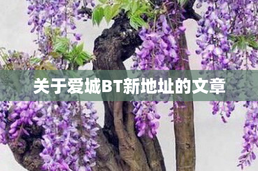 关于爱城BT新地址的文章图片
