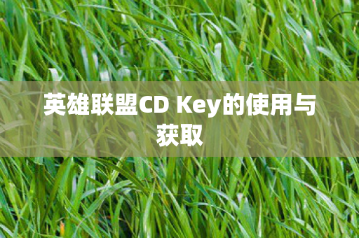 英雄联盟CD Key的使用与获取图片