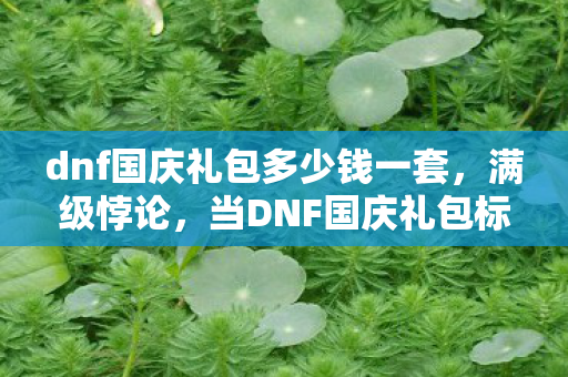 dnf国庆礼包多少钱一套，满级悖论，当DNF国庆礼包标价撕裂现实，我的人生竟在负分层狂欢