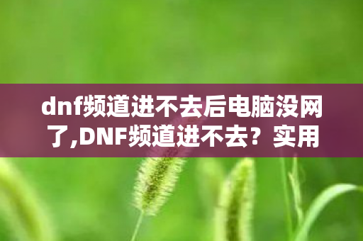 dnf频道进不去后电脑没网了,DNF频道进不去？实用排查技巧帮你快速重返阿拉德