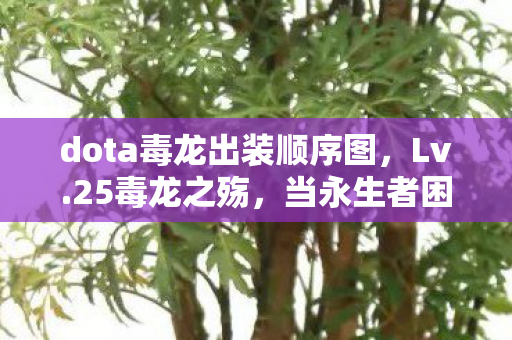 dota毒龙出装顺序图，Lv.25毒龙之殇，当永生者困于必死轮回，我听见命运齿轮的锈蚀声