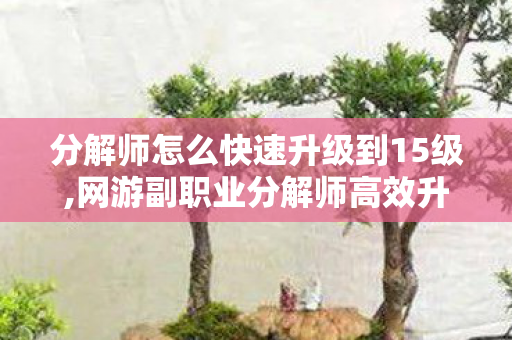 分解师怎么快速升级到15级,网游副职业分解师高效升级指南，少耗成本快速拉满等级