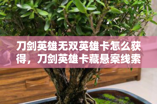 私服发布,打造优质游戏体验的核心环节 私服发布,打造优质游戏体验的核心环节