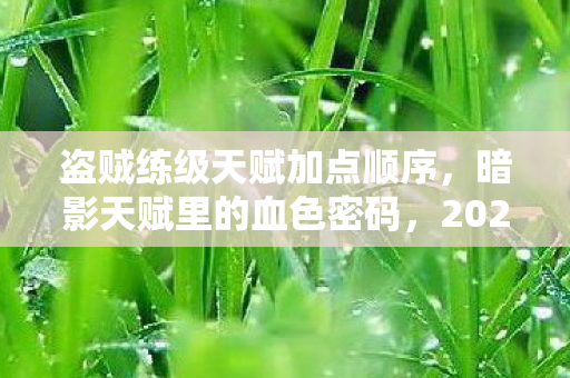 盗贼练级天赋加点顺序,暗影天赋里的血色密码,2027年全服盗贼离奇暴毙悬案 盗贼练级天赋加点顺序,暗影天赋里的血色密码,2027年全服盗贼离奇暴毙悬案