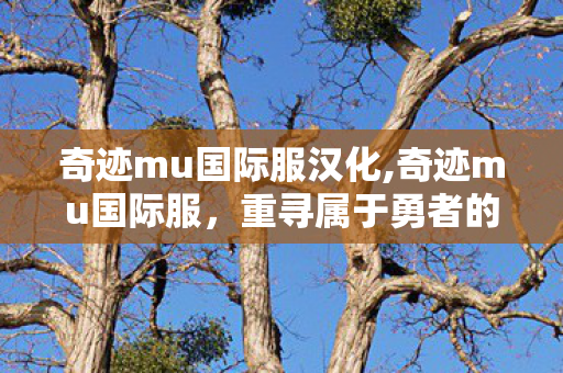 dnf剑魔加点2025,DNF剑魔加点全指南,适配流派的最优分配方案 dnf剑魔加点2025,DNF剑魔加点全指南,适配流派的最优分配方案
