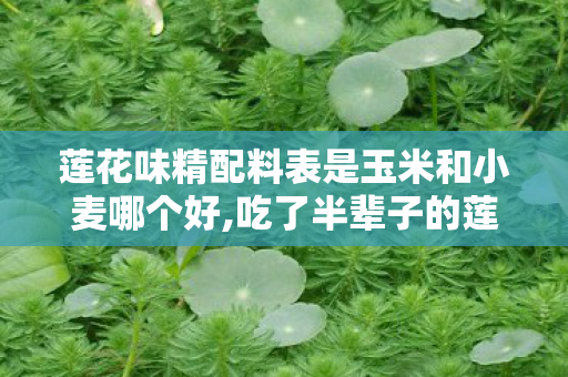 鲨齿龙图片,代码量超载!暗线吞噬者觉醒,当你的神经脉冲成为鲨齿龙的晚餐 鲨齿龙图片,代码量超载!暗线吞噬者觉醒,当你的神经脉冲成为鲨齿龙的晚餐