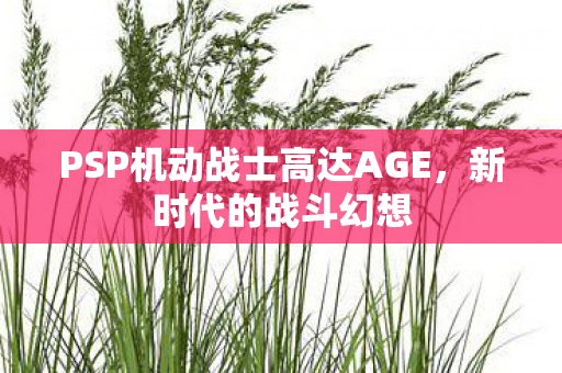 PSP机动战士高达AGE图片
