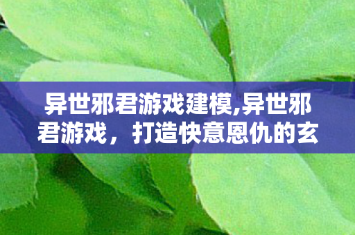 异世邪君游戏建模,异世邪君游戏,打造快意恩仇的玄幻闯荡新体验 异世邪君游戏建模,异世邪君游戏,打造快意恩仇的玄幻闯荡新体验