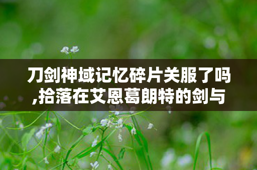 刀剑神域记忆碎片关服了吗,拾落在艾恩葛朗特的剑与青春碎片 刀剑神域记忆碎片关服了吗,拾落在艾恩葛朗特的剑与青春碎片