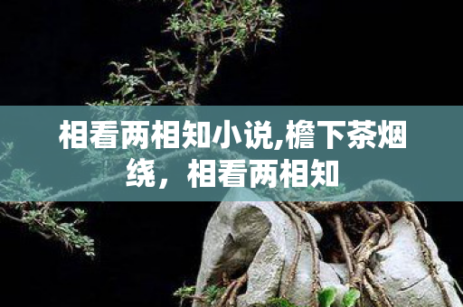 相看两相知小说,檐下茶烟绕,相看两相知 相看两相知小说,檐下茶烟绕,相看两相知