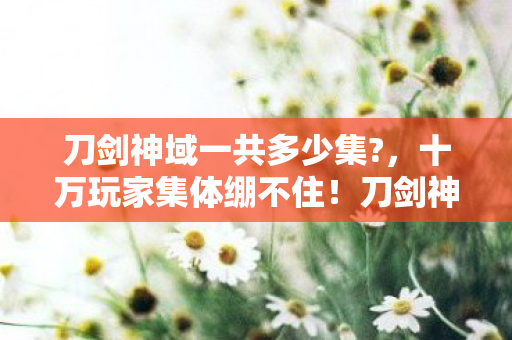 刀剑神域一共多少集?,十万玩家集体绷不住!刀剑神域集数疑云,官方数据竟成最大谜团? 刀剑神域一共多少集?,十万玩家集体绷不住!刀剑神域集数疑云,官方数据竟成最大谜团?