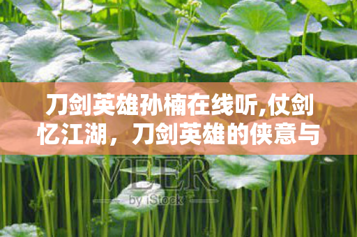 刀剑英雄孙楠在线听,仗剑忆江湖,刀剑英雄的侠意与孙楠歌声里的热血共振 刀剑英雄孙楠在线听,仗剑忆江湖,刀剑英雄的侠意与孙楠歌声里的热血共振