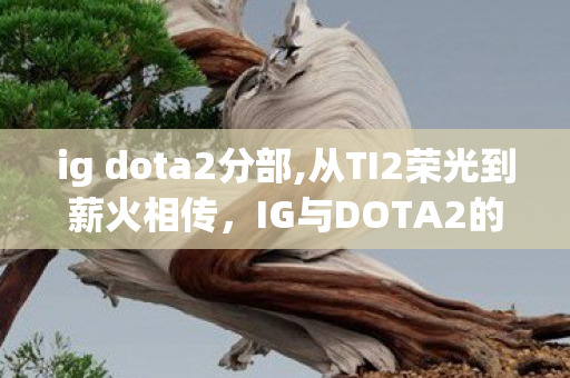 ig dota2分部,从TI2荣光到薪火相传,IG与DOTA2的十五年热血羁绊 ig dota2分部,从TI2荣光到薪火相传,IG与DOTA2的十五年热血羁绊