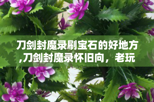 刀剑封魔录刷宝石的好地方,刀剑封魔录怀旧向,老玩家私藏的高效刷宝石心得 刀剑封魔录刷宝石的好地方,刀剑封魔录怀旧向,老玩家私藏的高效刷宝石心得