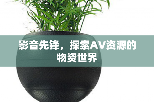 探索AV资源的物资世界图片