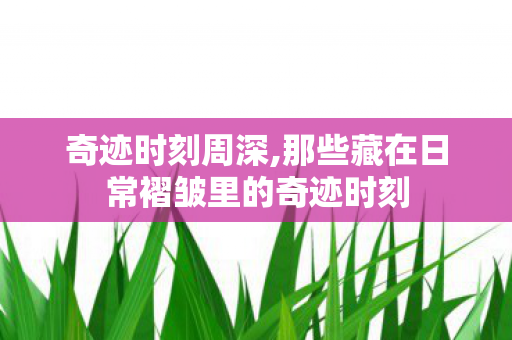 奇迹时刻周深,那些藏在日常褶皱里的奇迹时刻 奇迹时刻周深,那些藏在日常褶皱里的奇迹时刻