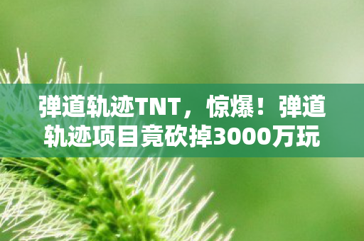 弹道轨迹TNT,惊爆!弹道轨迹项目竟砍掉3000万玩法,背后隐情让人吓一跳! 弹道轨迹TNT,惊爆!弹道轨迹项目竟砍掉3000万玩法,背后隐情让人吓一跳!