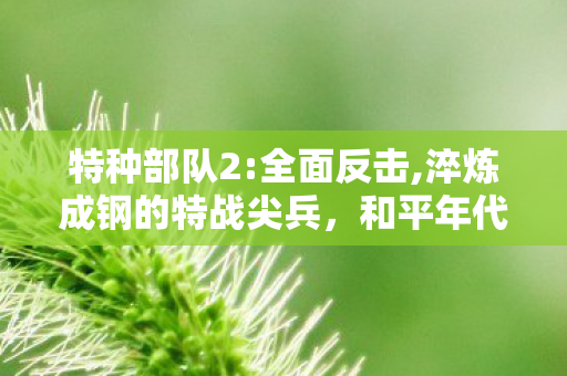 特种部队2:全面反击,淬炼成钢的特战尖兵,和平年代的无名守护者 特种部队2:全面反击,淬炼成钢的特战尖兵,和平年代的无名守护者