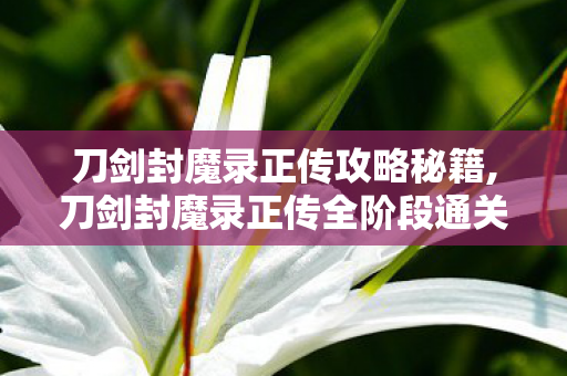 刀剑封魔录正传攻略秘籍,刀剑封魔录正传全阶段通关实用攻略,从零到封魔的进阶指南 刀剑封魔录正传攻略秘籍,刀剑封魔录正传全阶段通关实用攻略,从零到封魔的进阶指南
