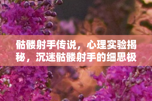 骷髅射手传说,心理实验揭秘,沉迷骷髅射手的细思极恐自我麻醉之旅 骷髅射手传说,心理实验揭秘,沉迷骷髅射手的细思极恐自我麻醉之旅