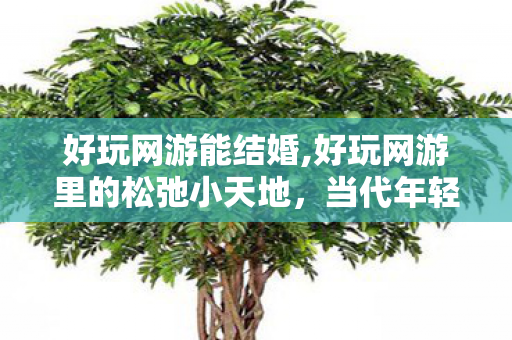 好玩网游能结婚,好玩网游里的松弛小天地,当代年轻人的线上快乐自留地 好玩网游能结婚,好玩网游里的松弛小天地,当代年轻人的线上快乐自留地