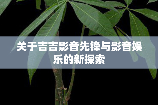 关于吉吉影音先锋与影音娱乐的新探索图片