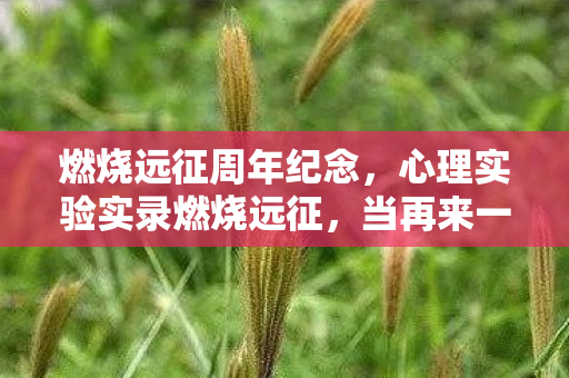 燃烧远征周年纪念,心理实验实录燃烧远征,当再来一局成为多巴胺陷阱,细思极恐的沉迷机制 燃烧远征周年纪念,心理实验实录燃烧远征,当再来一局成为多巴胺陷阱,细思极恐的沉迷机制