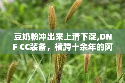 豆奶粉冲出来上清下淀,DNF CC装备,横跨十余年的阿拉德情怀坐标 豆奶粉冲出来上清下淀,DNF CC装备,横跨十余年的阿拉德情怀坐标