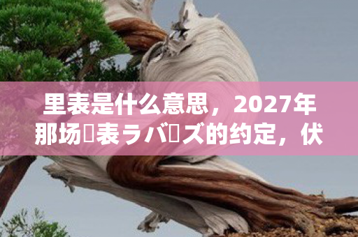 里表是什么意思,2027年那场裏表ラバーズ的约定,伏笔成真时,我鼻子一酸 里表是什么意思,2027年那场裏表ラバーズ的约定,伏笔成真时,我鼻子一酸