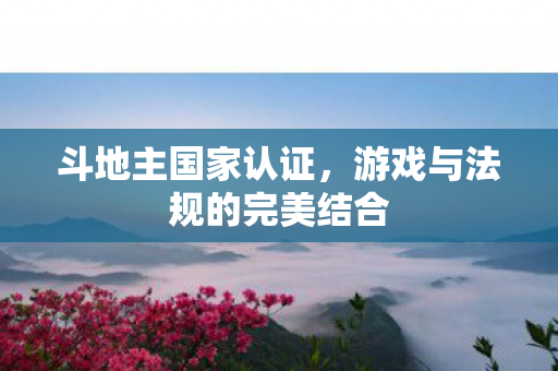 游戏与法规的完美结合图片