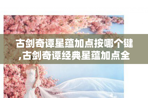 古剑奇谭星蕴加点按哪个键,古剑奇谭经典星蕴加点全指南，适配不同游玩需求的实用思路