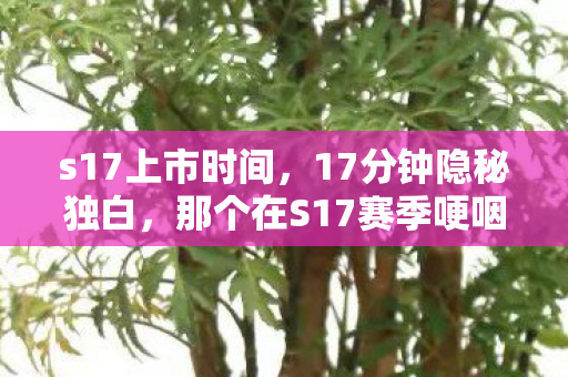 s17上市时间,17分钟隐秘独白,那个在S17赛季哽咽着删掉好友的夜晚 s17上市时间,17分钟隐秘独白,那个在S17赛季哽咽着删掉好友的夜晚
