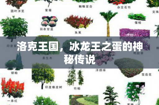 冰龙王之蛋的神秘传说图片
