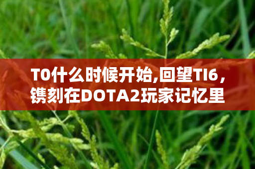T0什么时候开始,回望TI6,镌刻在DOTA2玩家记忆里的2016盛夏盛宴 T0什么时候开始,回望TI6,镌刻在DOTA2玩家记忆里的2016盛夏盛宴