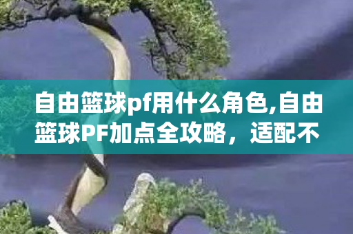 自由篮球pf用什么角色,自由篮球PF加点全攻略,适配不同打法的最优属性分配思路 自由篮球pf用什么角色,自由篮球PF加点全攻略,适配不同打法的最优属性分配思路