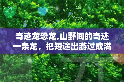 奇迹龙恐龙,山野间的奇迹一条龙,把短途出游过成满是惊喜的治愈之旅 奇迹龙恐龙,山野间的奇迹一条龙,把短途出游过成满是惊喜的治愈之旅