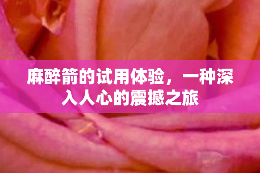 一种深入人心的震撼之旅图片