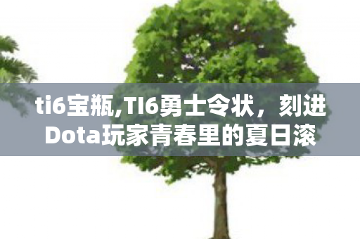 ti6宝瓶,TI6勇士令状,刻进Dota玩家青春里的夏日滚烫记忆 ti6宝瓶,TI6勇士令状,刻进Dota玩家青春里的夏日滚烫记忆