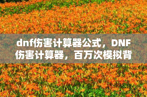 dnf伤害计算器公式,DNF伤害计算器,百万次模拟背后的蹊跷,后背发凉的游戏真相 dnf伤害计算器公式,DNF伤害计算器,百万次模拟背后的蹊跷,后背发凉的游戏真相