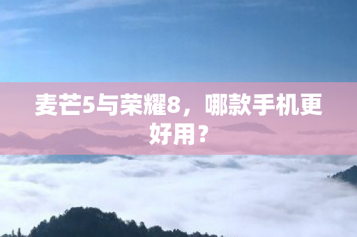 麦芒5与荣耀8图片
