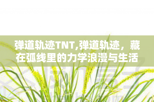 弹道轨迹TNT,弹道轨迹,藏在弧线里的力学浪漫与生活智慧 弹道轨迹TNT,弹道轨迹,藏在弧线里的力学浪漫与生活智慧