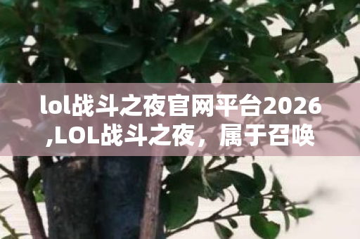 lol战斗之夜官网平台2026,LOL战斗之夜,属于召唤师的年度峡谷浪漫之约 lol战斗之夜官网平台2026,LOL战斗之夜,属于召唤师的年度峡谷浪漫之约