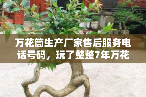 万花筒生产厂家售后服务电话号码,玩了整整7年万花筒,这3种新玩法选哪个?老玩家纠结到失眠! 万花筒生产厂家售后服务电话号码,玩了整整7年万花筒,这3种新玩法选哪个?老玩家纠结到失眠!