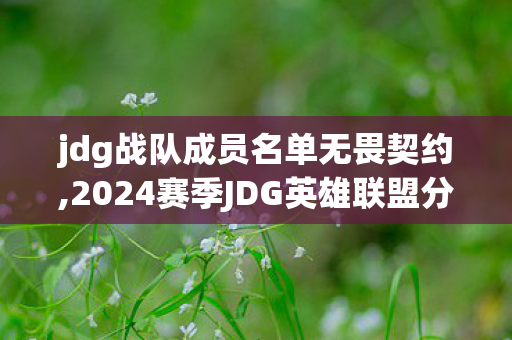 jdg战队成员名单无畏契约,2024赛季JDG英雄联盟分部阵容详解,全位置配置与赛场风采 jdg战队成员名单无畏契约,2024赛季JDG英雄联盟分部阵容详解,全位置配置与赛场风采
