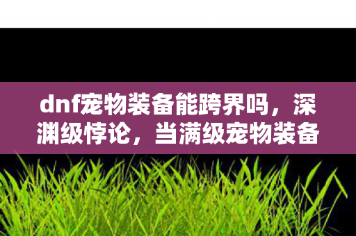 dnf宠物装备能跨界吗,深渊级悖论,当满级宠物装备成为灵魂震颤的枷锁 dnf宠物装备能跨界吗,深渊级悖论,当满级宠物装备成为灵魂震颤的枷锁