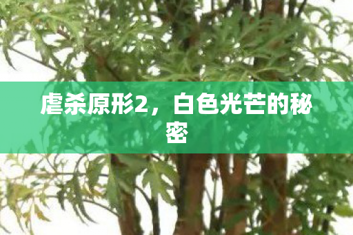 白色光芒的秘密图片