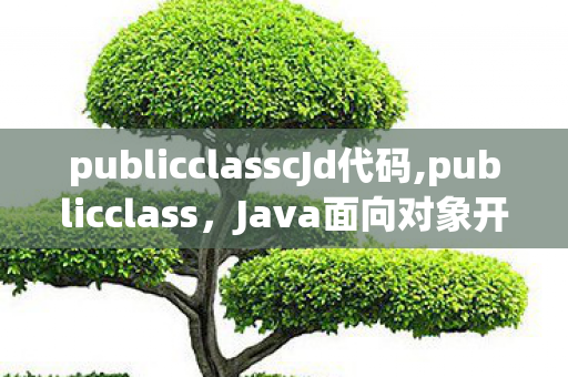 publicclasscJd代码,publicclass,Java面向对象开发的入门核心标识 publicclasscJd代码,publicclass,Java面向对象开发的入门核心标识